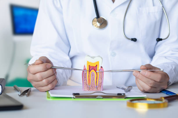 Best Chipped Tooth Repair Near Me  in New Fairview, TX